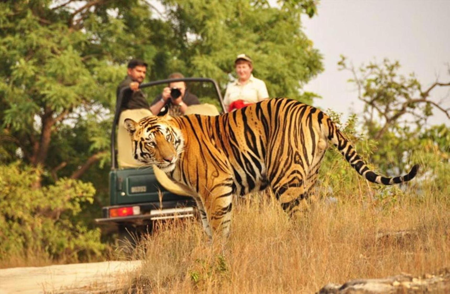 The Vanashrya Ranthambore Hotel Khilchipur  Exterior photo